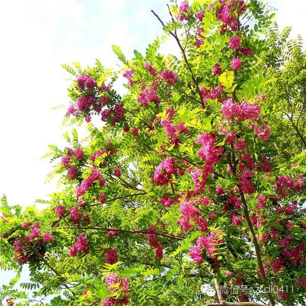 大连小众海边滨海路,大连最美海滨路在哪