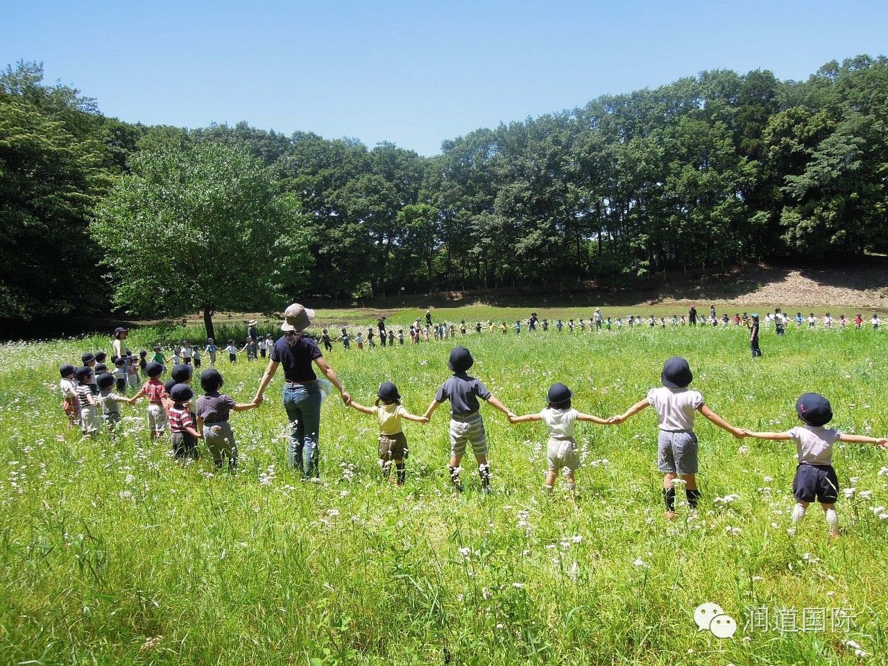 风之谷幼儿园教育特色,风之谷幼儿园青海