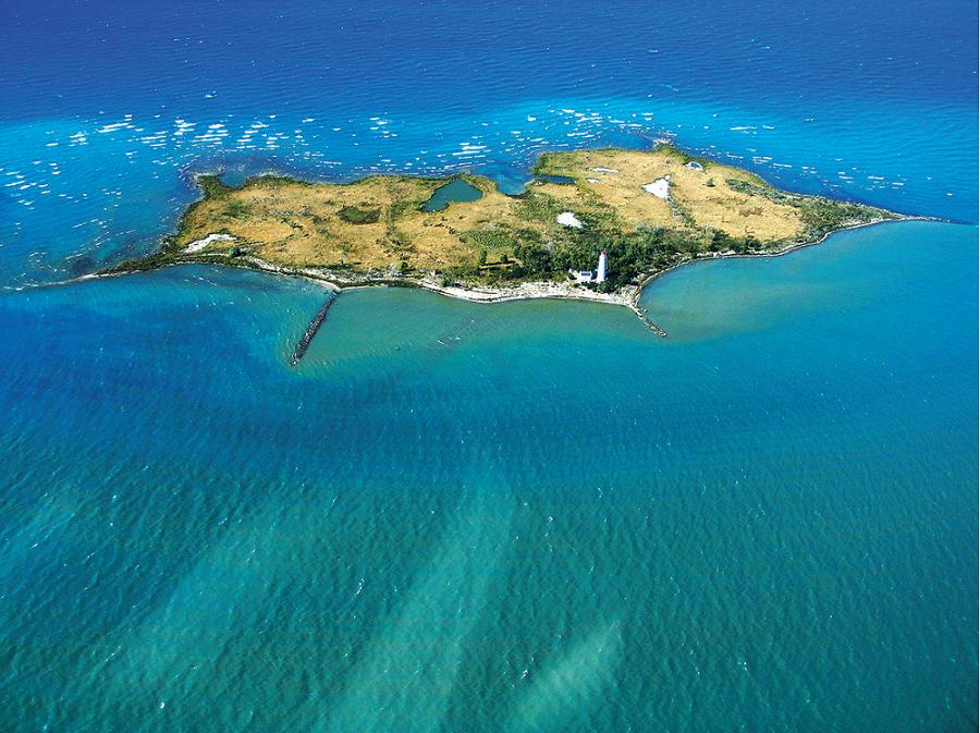 北美大陆最美一处森林风景,北美大陆的风景