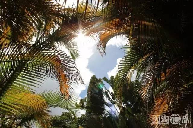 开着小敞篷去兜风,开个敞篷车去海边