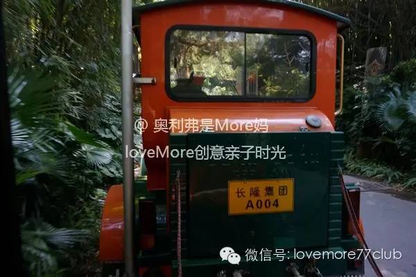 一日游广州长隆野生动物园攻略,广州长隆野生动物园自由行攻略