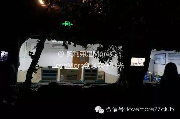 一日游广州长隆野生动物园攻略,广州长隆野生动物园自由行攻略