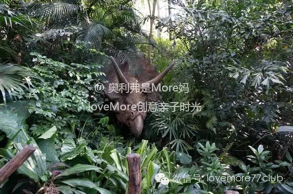 一日游广州长隆野生动物园攻略,广州长隆野生动物园自由行攻略