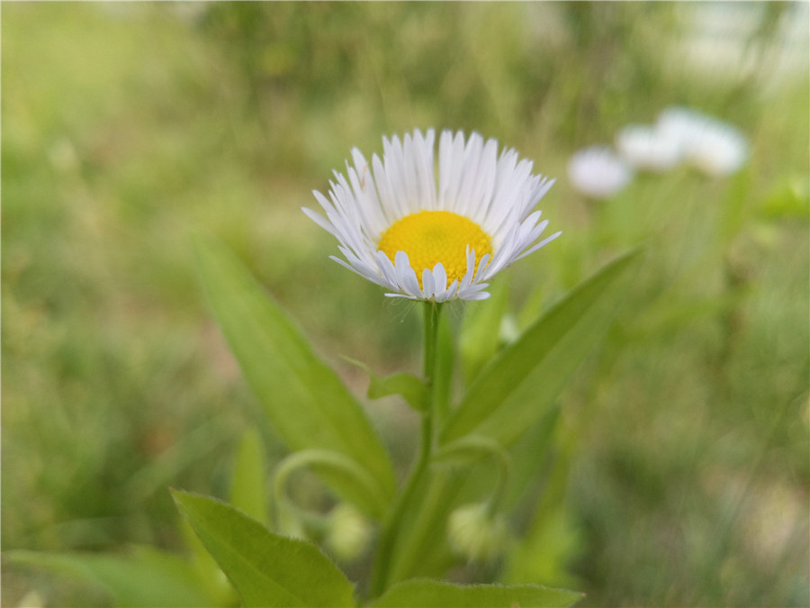 360n4手机怎么样,360手机n4和360手机n4s有什么区别