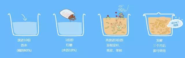 酵素到底有多神奇?看完就知道该不该买了!