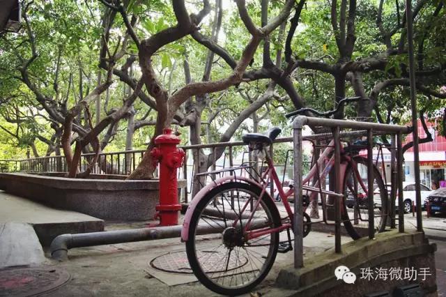 珠海最值得一去的特色街，我只去过5个，你呢？