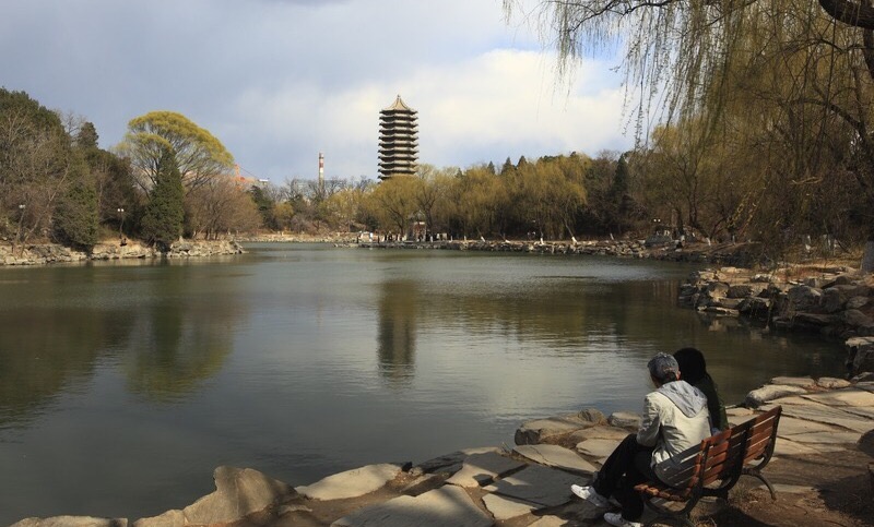 北大许心晴,萧县中学许心晴