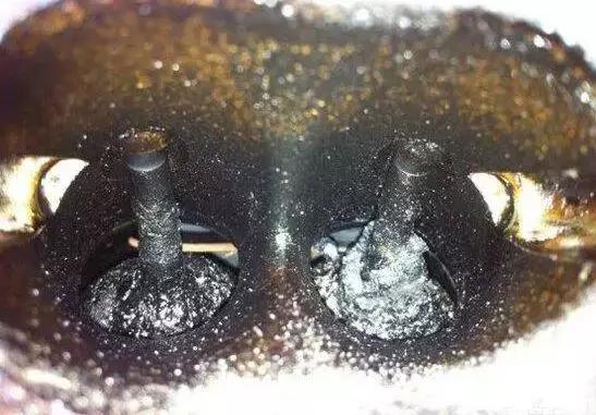 冬天启动车怎么快速暖车,低温启动汽车的正确方法