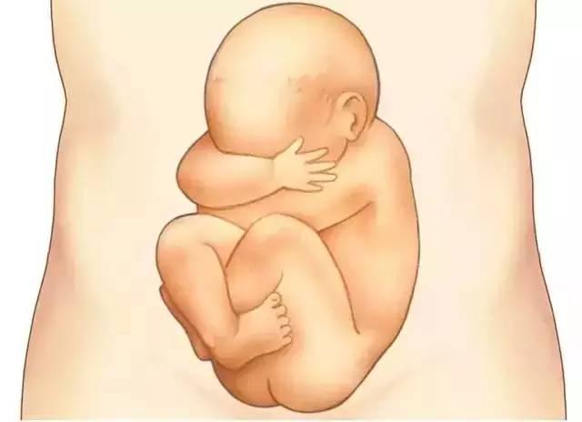 准妈妈必备100个技能,怀孕初期注意事项准妈妈看过来