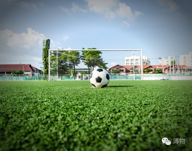 足球场草坪最好的,足球场的草坪是一般的草坪吗