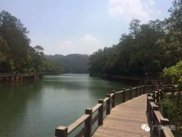 跑者对于三分配的感受,跑步心得分享