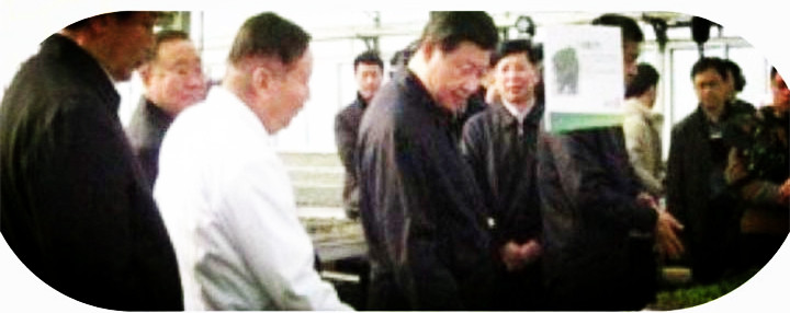 草原文商之旅--东归传