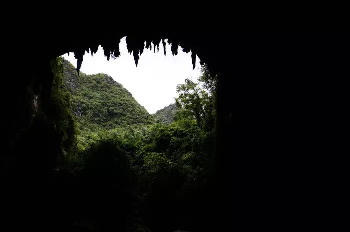 巴马世界旅居圣地,广西巴马长寿圣殿图片