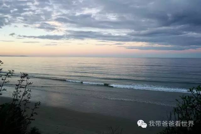 新西兰奇异圆石,摩拉基大圆石龟背形成原因