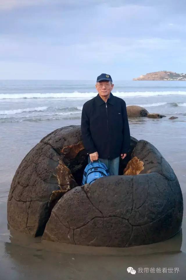 新西兰圆石图片,摩拉基大圆石龟背形成原因