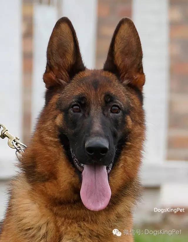 闄曡タ鍜搁槼绉︽簮鐘垗,绉︽簮鐘垗