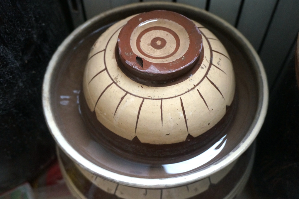 还在吃有防腐剂的酸豇角吗？跟我来学，保你5天吃上自制酸豇豆！