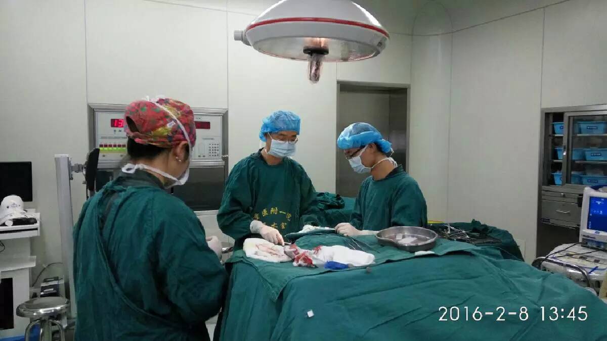 显微镜下脊柱外科手术技术,脊柱外科最新技术进展