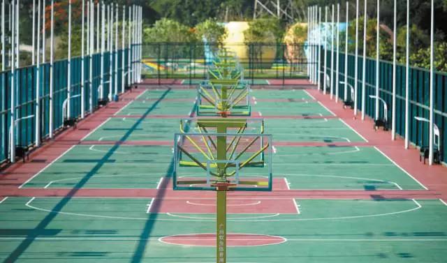 深圳有哪些公园可以免费开放,深圳有特色的免费公园