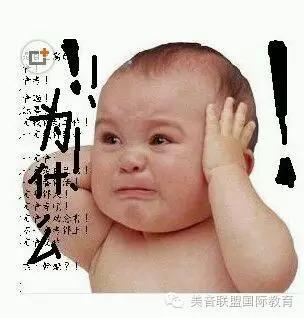 音乐留学申请步骤流程视频,美国音乐系留学申请攻略