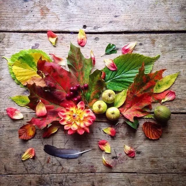 这些镜头里的花，让我瞬间变“花痴”