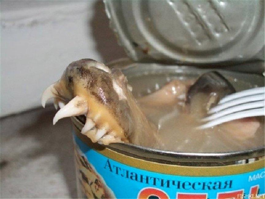 战斗民族足球流氓,足球流氓的十大真相