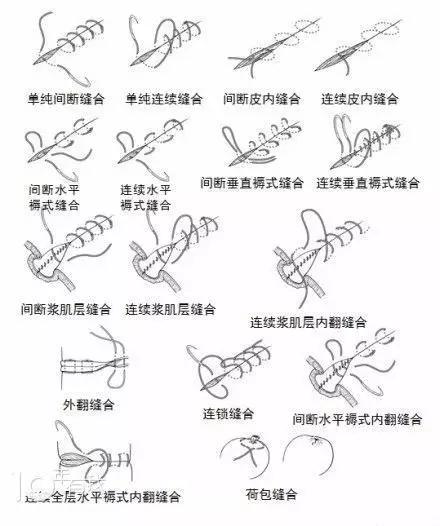 医学人士看图涨姿势系列