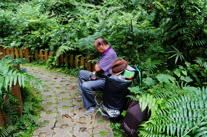 巴马世界旅居圣地,广西巴马长寿圣殿图片