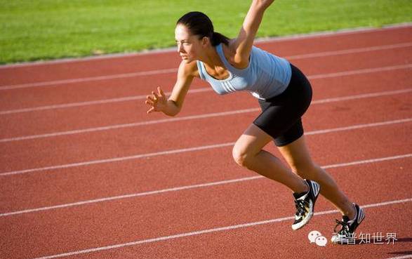 关于奥林匹克运动会的知识,奥林匹克运动会知识科普