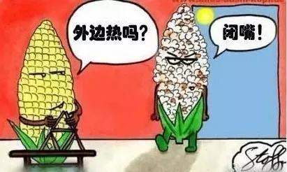 今日上海最新资讯,上海今天的所有新消息