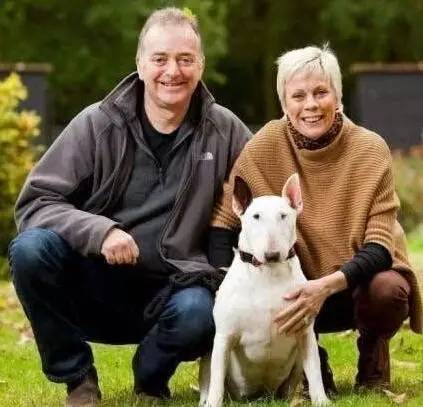 厉害的狗和狮子pk哪个更强,趣说动物小狗