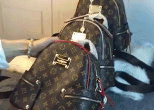 微商朋友圈卖东西赚钱吗,朋友圈的微商真的能赚钱吗