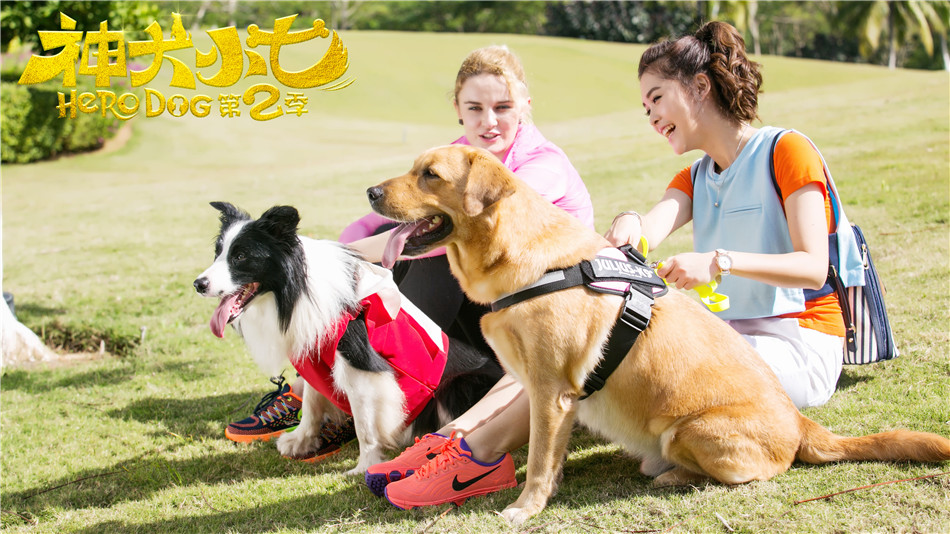 神犬小七正片,神犬小七第二季海报