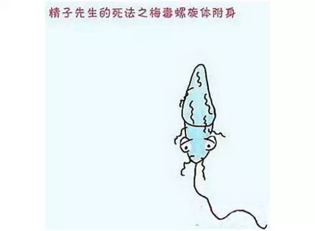 休闲｜爸爸的精子！备孕中的悲欢离合