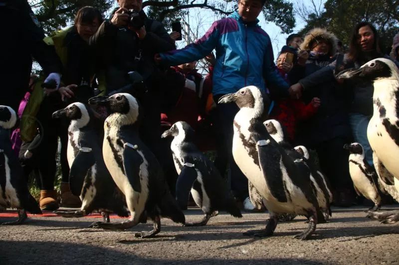阿拉看环境｜还记得记忆中的西郊公园吗？