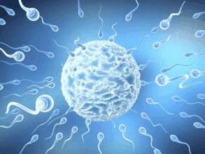 陈亮治疗不孕不育,北大医院陈亮怎么样