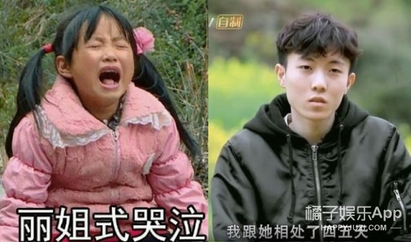 变形计陈新颖哭,变形计陈新颖结局