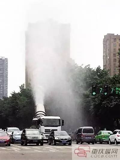 早间看点|神秘黑虫袭击重庆，感觉好害怕