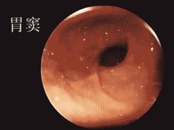 武汉的光谷是个什么地方,武汉最神奇的地方东湖高新