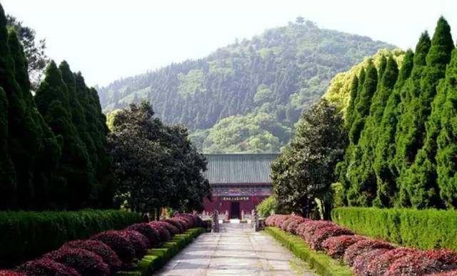 武汉的光谷是个什么地方,武汉最神奇的地方东湖高新