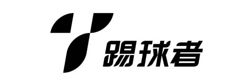 冰岛是一个怎样的国家队,冰岛国家队战术