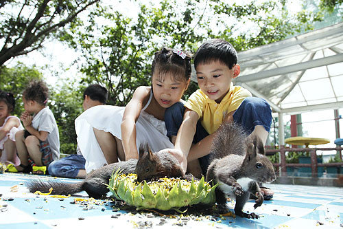 广州南沙新万顷沙百万葵园,看100年的历史去广州