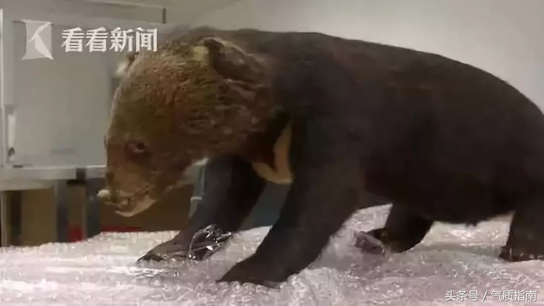 朋友圈里卖低价服装的真相,朋友圈代购真实案例