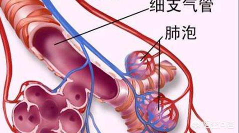 肺内常有气泡破裂的感觉并有疼痛感是怎么回事，可能是气胸前奏