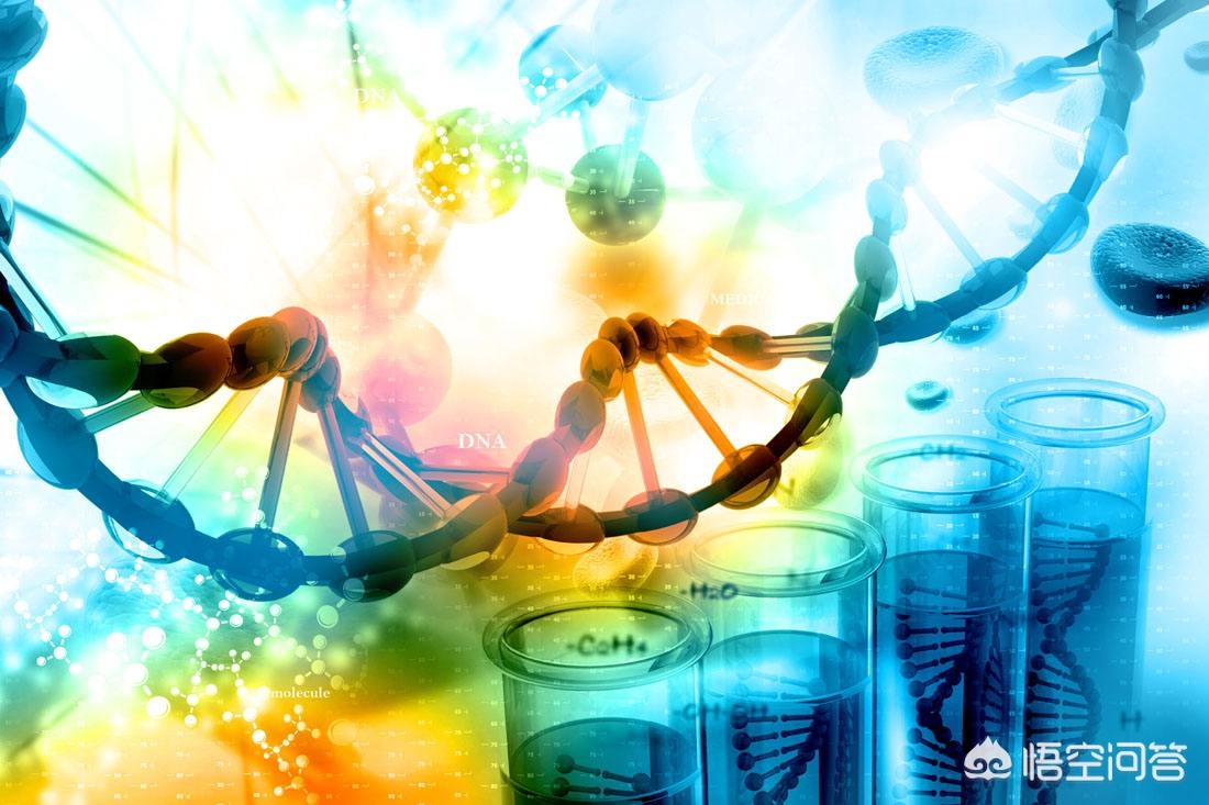 无创dna检测与唐氏筛查有区别吗,无创dna检测可以确诊唐氏吗