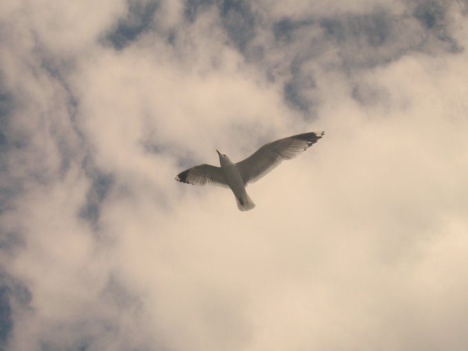 北欧四国丹、瑞、挪、芬，不是穷游的穷游（多图杀猫，字多慎入）