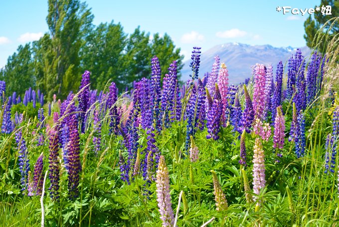 趁年轻我们一起去旅行,趁年轻我们一起去旅行吧
