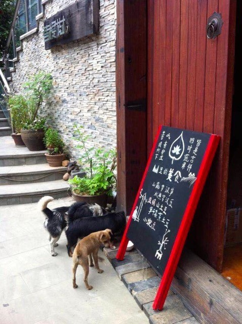 路牌带我抵达这里，而不是谷歌、百度、高德地图｜群分享