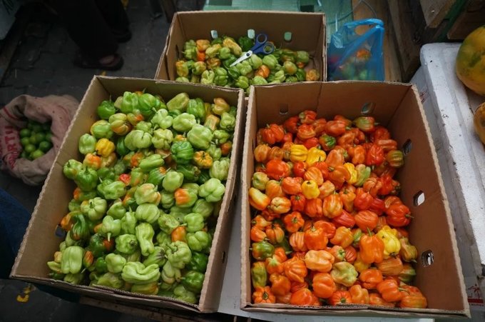 马尔代夫马富施岛,马尔代夫7日游不含机票