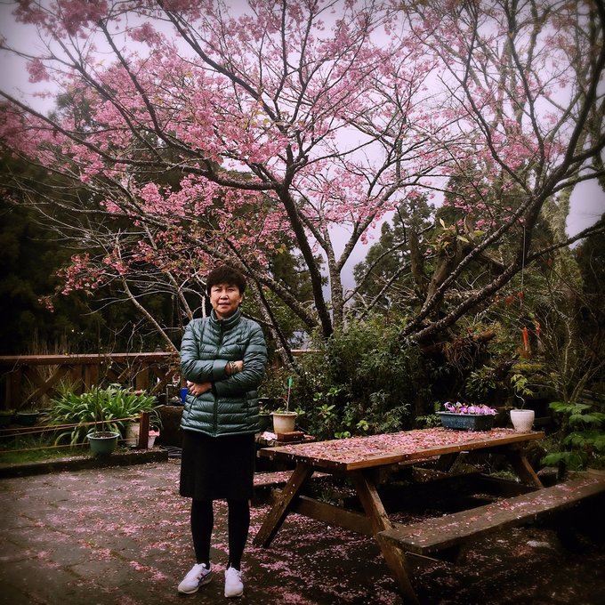 老爸追梦之旅,父亲的圆梦之旅